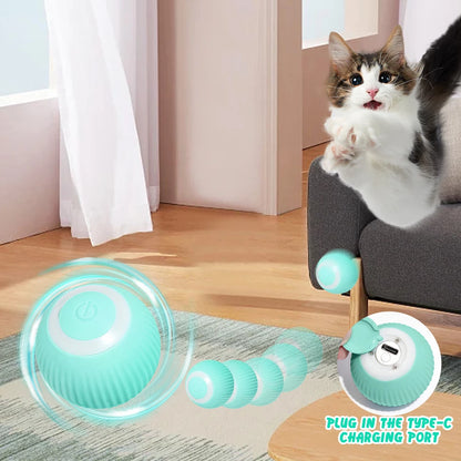 Rolling Ball Cat Toy